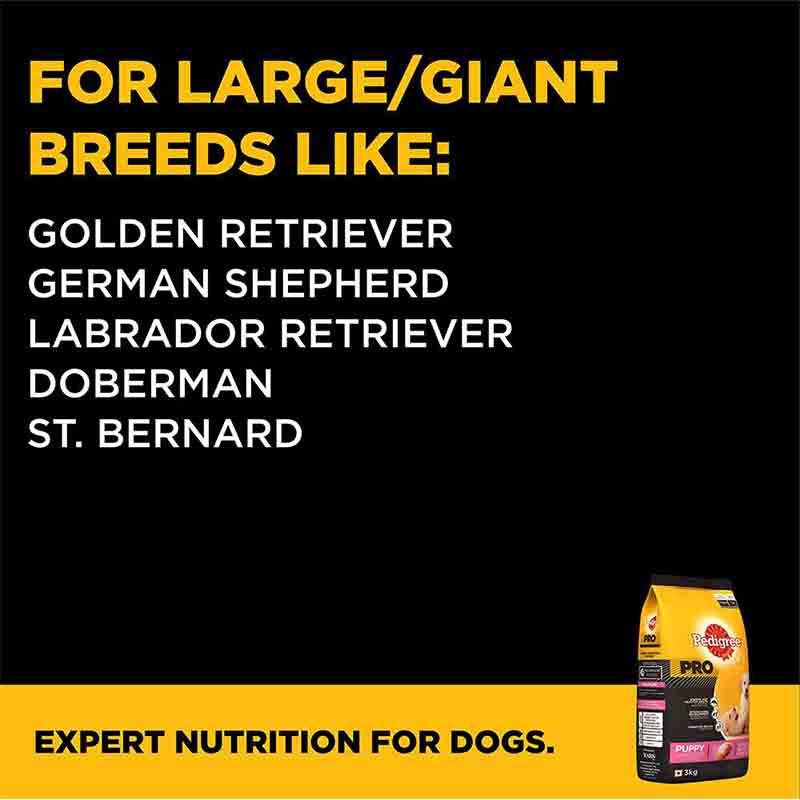 Pedigree PRO Expert Nutrition for Large Breed Puppy (3-18 Months), Dry Dog Food
