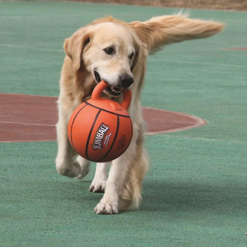 GiGwi Basket Ball With Rubber Handle Jumball Dog Toy, Orange