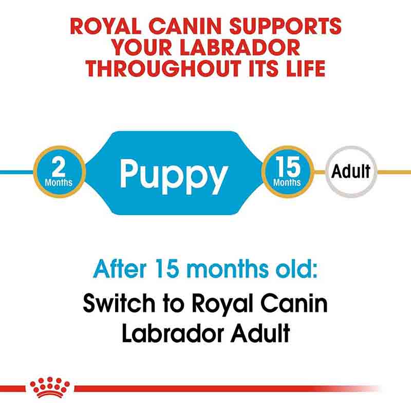 Royal Canin Labrador Retriever Junior Dry Dog Food