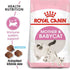 Royal Canin Mother and Babycat Dry Cat Food