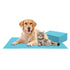 Maissen Pet Dry Sheet Peacock Blue